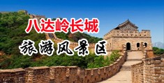 大鸡巴插粉穴网站中国北京-八达岭长城旅游风景区